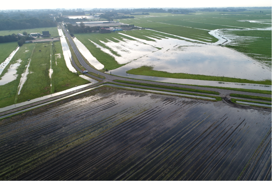 Klimaat